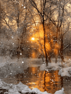 ZIMA NOCĄ - winter gold sunset.gif