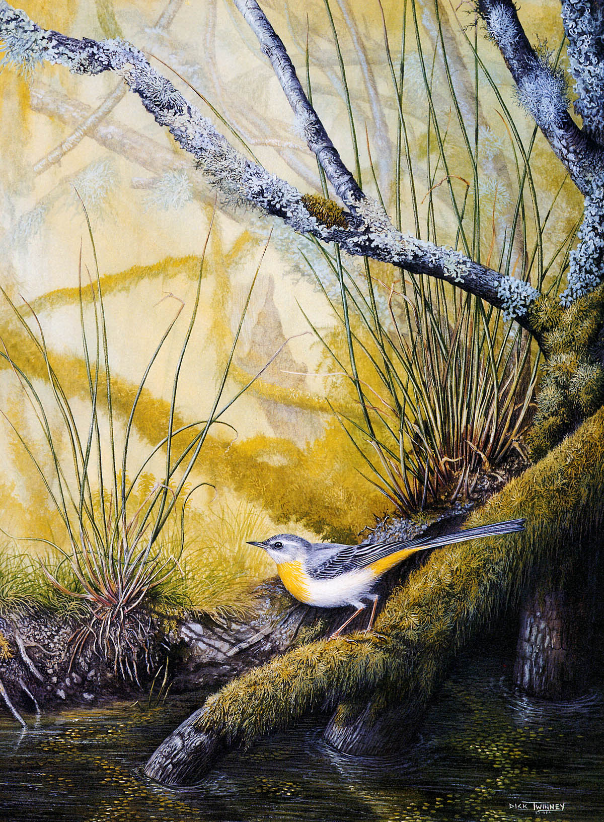 Ptaki malowane - Twinney Dick Nature 030.jpeg