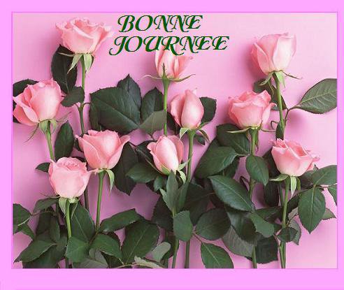 Bonne Journee - Miłego dnia1 - pz05q8x6.jpg