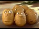 Galeria - ziemniaki.jpg