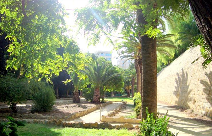 Cypr - Public_Park_in_Nicosia_for_recreation.JPG