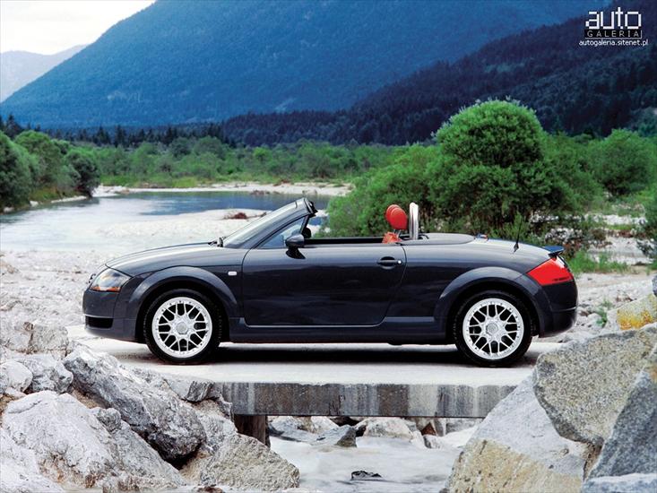 Audi - audi_tt_roadster_2001_02_m1.jpg