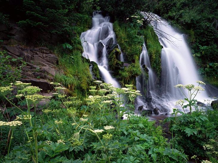 397 ujęć Natury HQ - Cascading Waterfall, Umpqua National Forest, Oregon.jpg